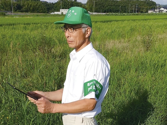 農地現状調査
